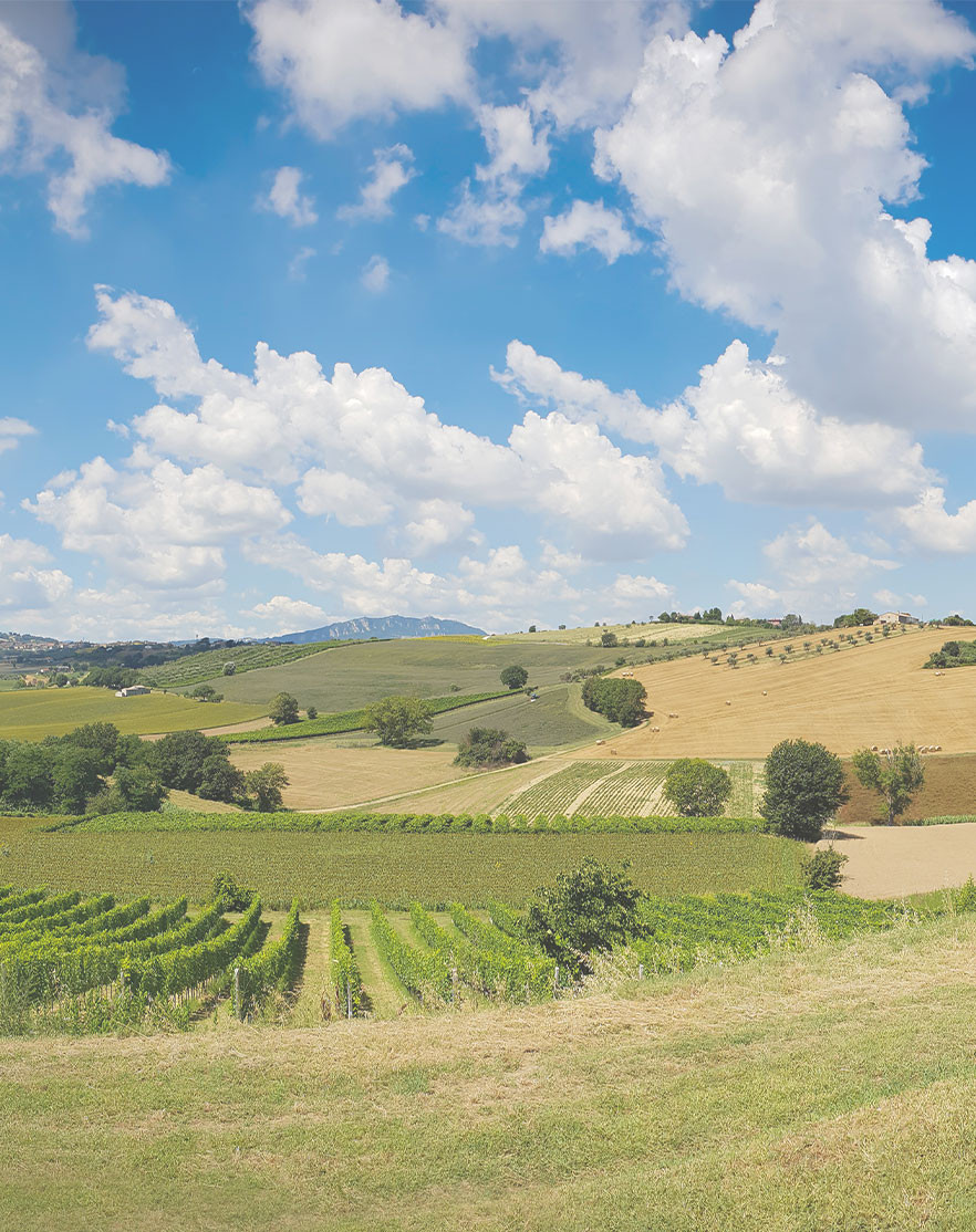 media.Buoni-motivi-entroterra-Hotel-Luxory-Cattolica