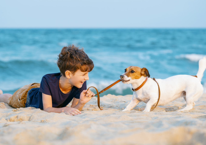 media.Gallery-Spiaggia-03-Hotel-Luxor-Cattolica
